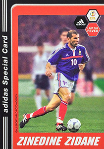 Album Fever Cards FIFA World Cup 2002
