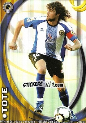 Figurina Tote - Campeonato Nacional De Liga 2010-2011 n. 504 - Mundicromo