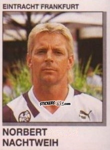 Sticker Norbert Nachtweih - German Football Bundesliga 1991-1992 n. 115 - Panini