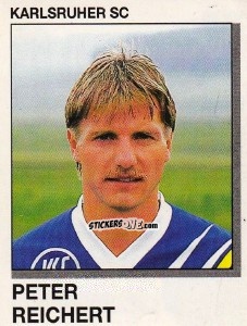 Cromo Peter Reichert - German Football Bundesliga 1991-1992 n. 179 - Panini