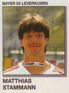 Cromo Matthias Stammann - German Football Bundesliga 1991-1992 n. 212 - Panini