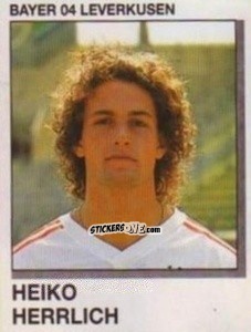 Cromo Heiko Herrlich - German Football Bundesliga 1991-1992 n. 213 - Panini