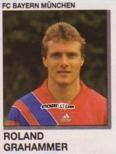 Figurina Roland Grahammer - German Football Bundesliga 1991-1992 n. 239 - Panini