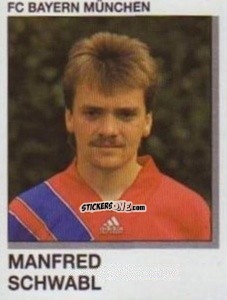 Cromo Manfred Schwabl - German Football Bundesliga 1991-1992 n. 244 - Panini