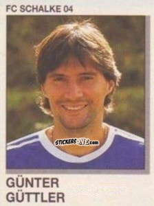 Figurina Gunter Guttler - German Football Bundesliga 1991-1992 n. 292 - Panini