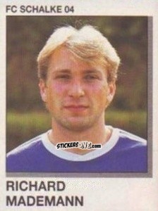 Cromo Richard Mademann - German Football Bundesliga 1991-1992 n. 294 - Panini