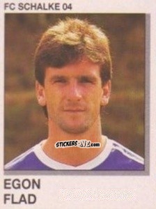 Cromo Egon Flad - German Football Bundesliga 1991-1992 n. 299 - Panini