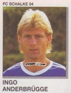 Cromo Ingo Anderbrugge - German Football Bundesliga 1991-1992 n. 303 - Panini