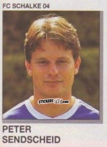 Sticker Peter Sendscheid - German Football Bundesliga 1991-1992 n. 306 - Panini