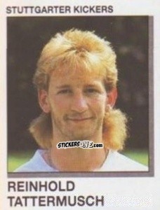 Cromo Reinhold Tattermusch - German Football Bundesliga 1991-1992 n. 336 - Panini