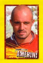 Sticker Amerini - Calcio 2006-2007 Pocket Collection n. 206 - Merlin