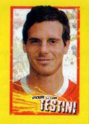Sticker Testini - Calcio 2006-2007 Pocket Collection n. 419 - Merlin