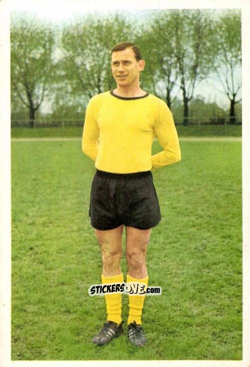Sticker Gerhard Cyliax - Fussball 1966-1967 n. 68 - Bergmann