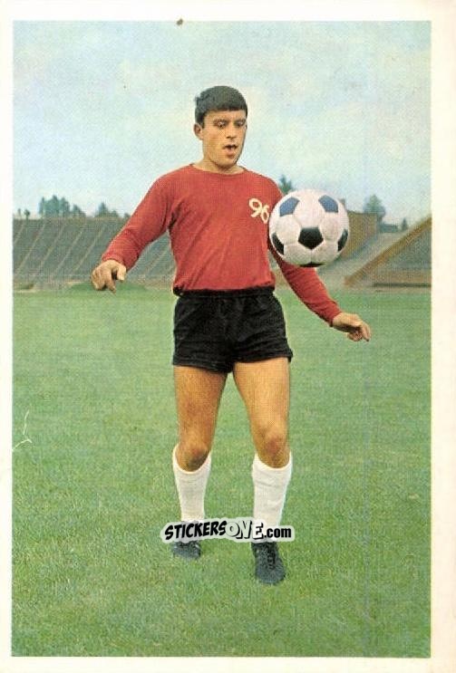 Figurina Fred Hoff