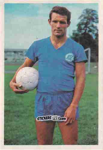 Sticker Horst Wild - Bundesliga 1965-1966 n. 217 - Bergmann