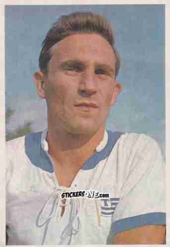 Sticker Helmut Fiebach - Bundesliga 1965-1966 n. 234 - Bergmann