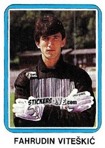 Cromo Fahrudin Viteškic