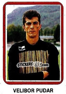 Cromo Velibor Pudar