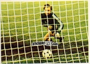 Cromo Netolicka