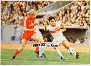 Cromo Muller / Weiner