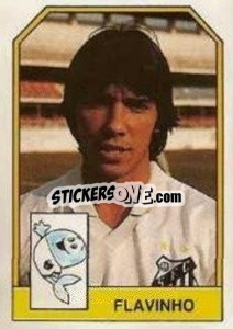 Figurina Flavinho - Campeonato Brasileiro 1991 n. 209 - Abril