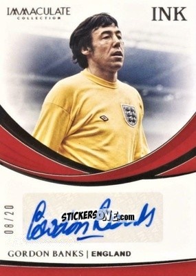 Cromo Gordon Banks - Immaculate Soccer 2018-2019 n. I-GBN - Panini