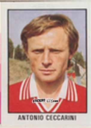Cromo Antonio Ceccarini - Calcio Flash 1981 n. 169 - Edizioni Flash