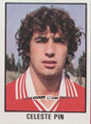 Figurina Celeste Pin - Calcio Flash 1981 n. 171 - Edizioni Flash