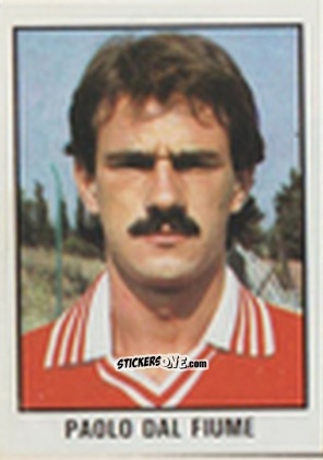 Figurina Paolo Dal Fiume - Calcio Flash 1981 n. 173 - Edizioni Flash