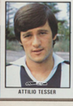 Figurina Attilio Tesser - Calcio Flash 1981 n. 233 - Edizioni Flash