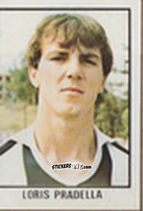 Cromo Loris Pradella - Calcio Flash 1981 n. 240 - Edizioni Flash