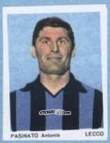 Sticker Pasinato Antonio - I Calciatori 1966-1967 n. 59 - Ferrero