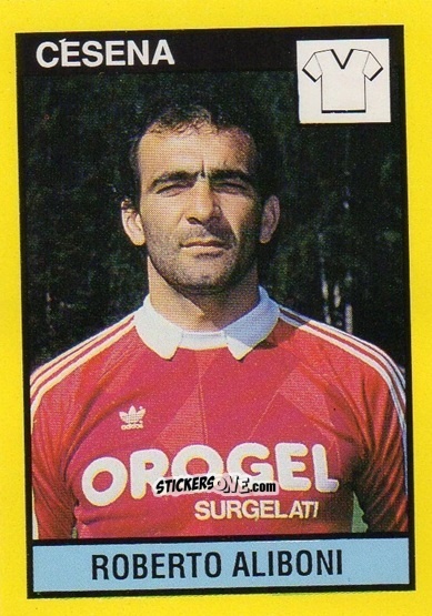 Cromo Roberto Aliboni - Il Grande Calcio 1988-1989 n. 54 - Vallardi
