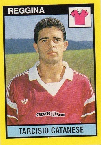 Cromo Tarcisio Catanese - Il Grande Calcio 1988-1989 n. 534 - Vallardi