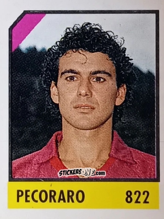 Cromo Pecoraro - Micro Calcio Campionato 1990-1991 n. 822 - Vallardi