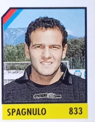 Figurina Sensini - Micro Calcio Campionato 1990-1991 n. 883 - Vallardi