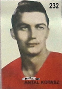Cromo Antal Kotasz - Campeonato Mundial de Futbol 1962 Chile n. 232 - IMPORTADORES PERUANOS