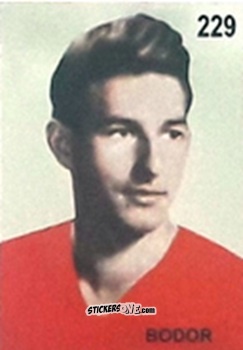 Sticker Bodor - Campeonato Mundial de Futbol 1962 Chile n. 229 - IMPORTADORES PERUANOS