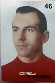 Cromo D. Bagricz - Campeonato Mundial de Futbol 1962 Chile n. 46 - IMPORTADORES PERUANOS