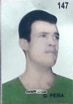 Figurina G. Peña - Campeonato Mundial de Futbol 1962 Chile n. 147 - IMPORTADORES PERUANOS