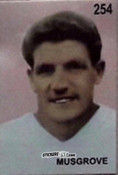 Cromo Malcolm Musgrove - Campeonato Mundial de Futbol 1962 Chile n. 254 - IMPORTADORES PERUANOS