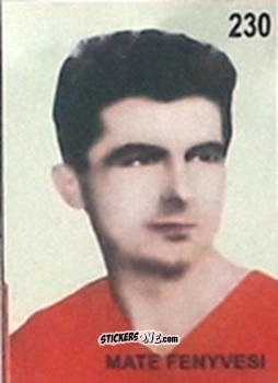 Sticker Mate Fenyvesi - Campeonato Mundial de Futbol 1962 Chile n. 230 - IMPORTADORES PERUANOS