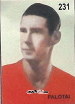 Sticker Palotai - Campeonato Mundial de Futbol 1962 Chile n. 231 - IMPORTADORES PERUANOS