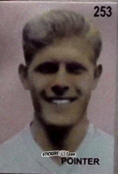 Figurina Ray Pointer - Campeonato Mundial de Futbol 1962 Chile n. 253 - IMPORTADORES PERUANOS