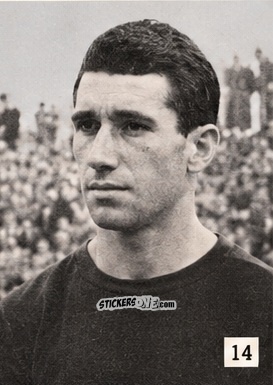 Figurina Cattozzo - L' album Dello Sport Calcio 1953 n. 14 - ADRIANA