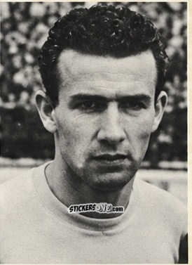 Figurina Cervato - L' album Dello Sport Calcio 1953 n. 17 - ADRIANA
