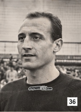 Cromo Greco - L' album Dello Sport Calcio 1953 n. 36 - ADRIANA