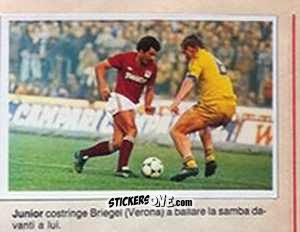 Figurina Junior / Briegel - Calciostadio 1984-1985
 n. 132 - Edis