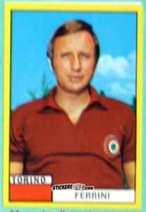 Figurina Giorgio Ferrini - Calciatori 1971-1972
 n. TOR9 - Edis