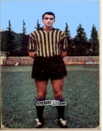 Sticker Figurina 13 - Campionato di Calcio 1967-1968
 n. VER13 - PERSICO
